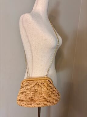 Ming Woven Raffia Gold Chain Crossbody Bag